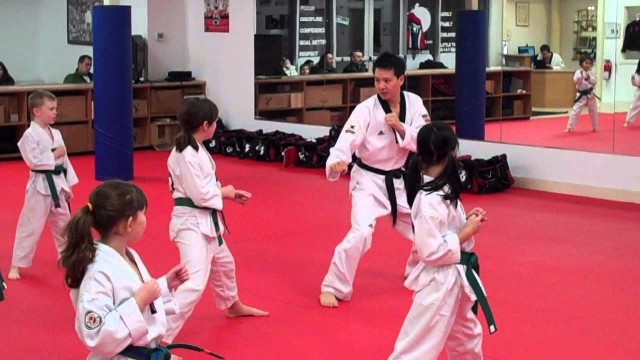 taekwando classes in Dwarka and Palam